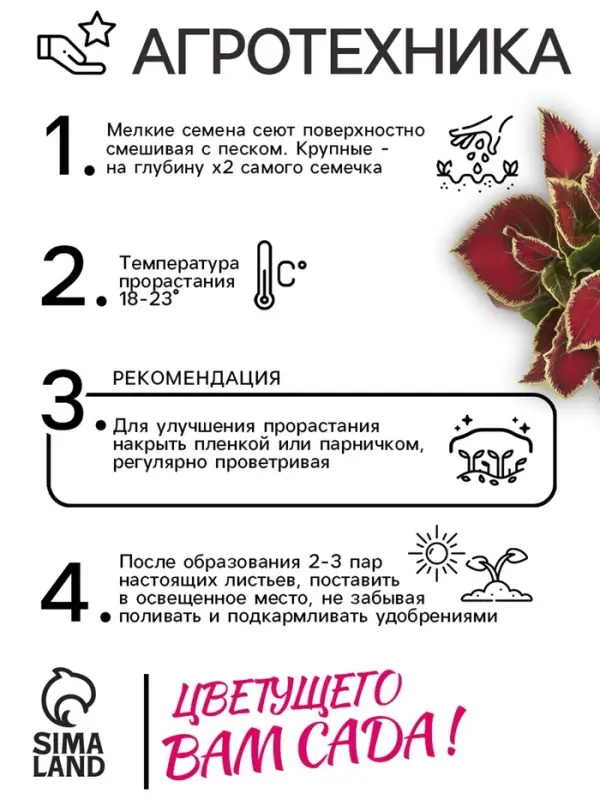 Семена цветов Колеус блюме  Семена цветов Колеус блюме "Райнбоу" смесь сортов, ц/п, 0,05 г