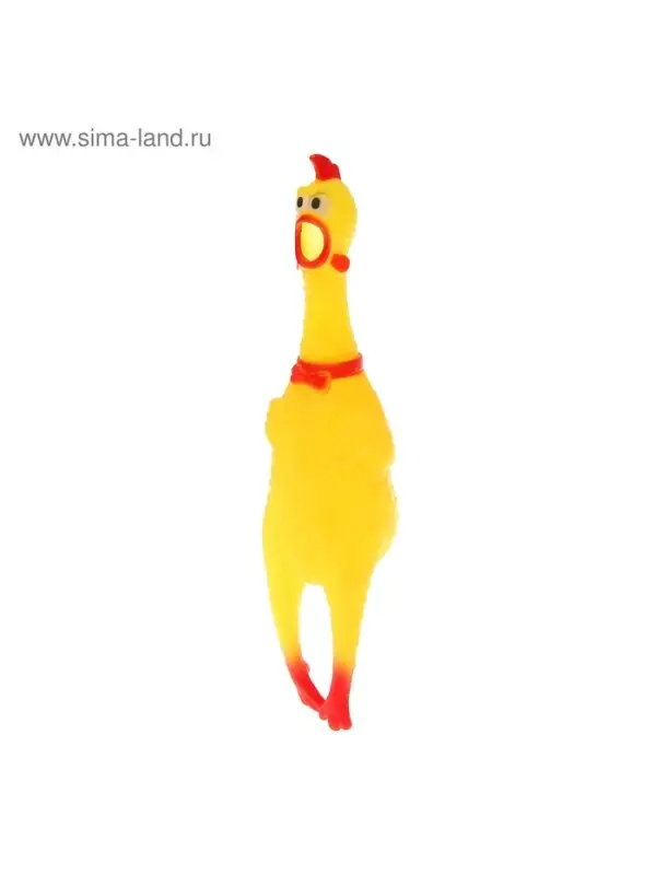 Курица, кричит, в сетке