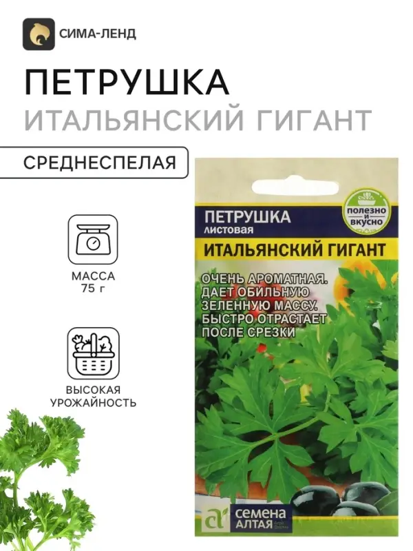 Семена Петрушка Листовая &laquo;Итальянский Гигант&raquo;, 2 г, &laquo;Семена Алтая&raquo;