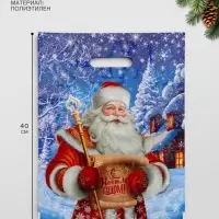 Пакет &laquo;Новогодняя почта&raquo;, полиэтиленовый с вырубной ручкой, 31&times;40 см, 60 мкм