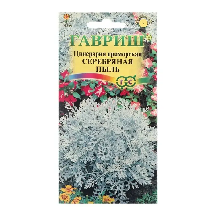 Семена цветов Цинерария приморская "Серебряная пыль", ц/п, 0,05 г