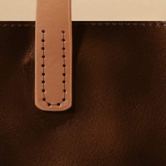 Ручки для сумки, пара, 52 ± 2 × 2 см, цвет бежевый Ручки для сумки, пара, 52 ± 2 × 2 см, цвет бежевый