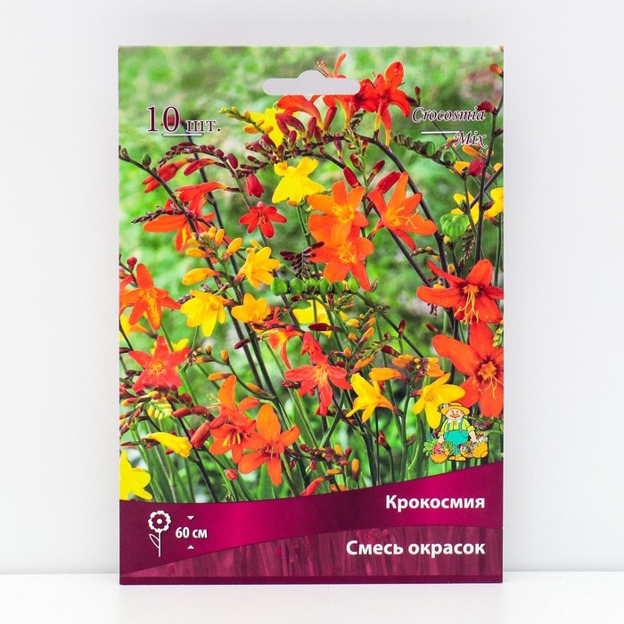 Крокосмия смесь окрасок, 10 шт, р-р 6/7, Весна 2025 Крокосмия смесь окрасок, 10 шт, р-р 6/7, Весна 2025