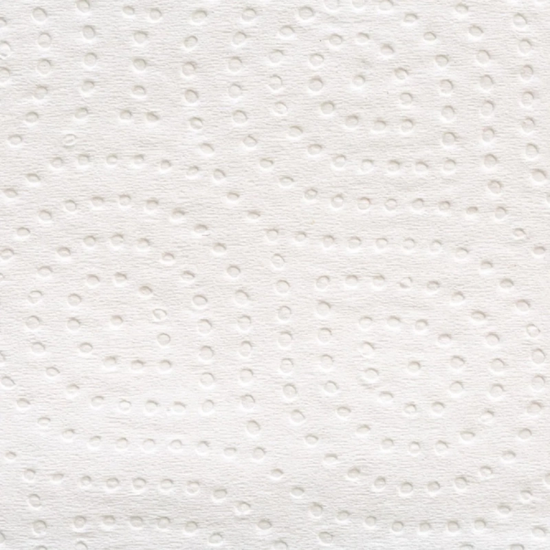 Полотенца бумажные д/дисп. FOCUS Economic Premium Zсл 2слбелцел100л35пач/уп