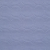 Бумага протирочная Luscan Prof 2сл 1000лx1рул/уп 360м голубая