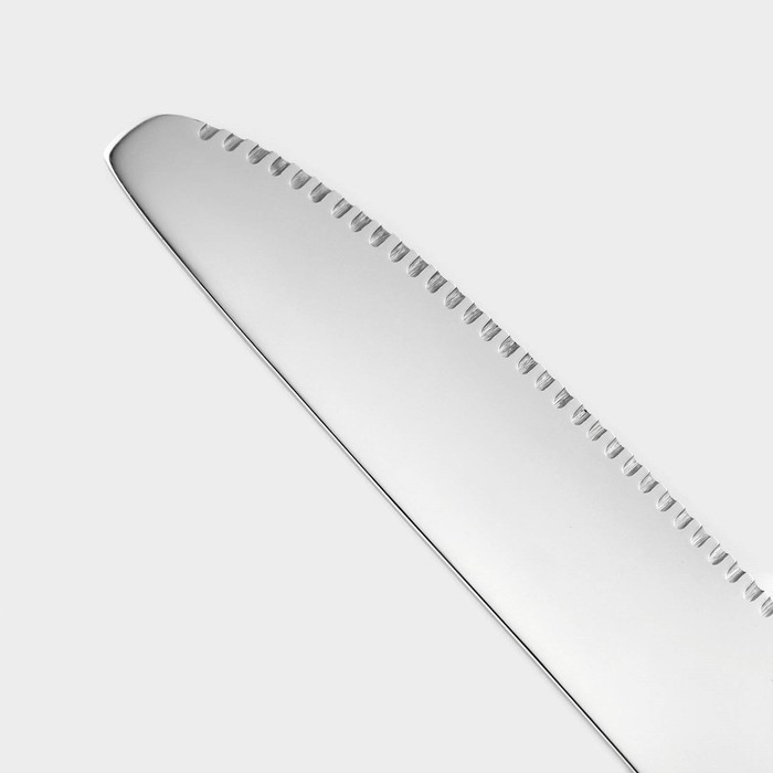 Нож столовый из нержавеющей стали «Хоккайдо», длина 23 см, цвет серебряный Нож столовый из нержавеющей стали «Хоккайдо», длина 23 см, цвет серебряный