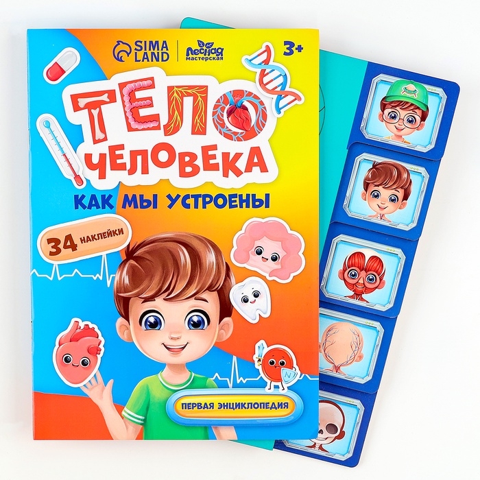 Обучающий набор «Тело человека», рамка-вкладка и книга с наклейками Обучающий набор «Тело человека», рамка-вкладка и книга с наклейками