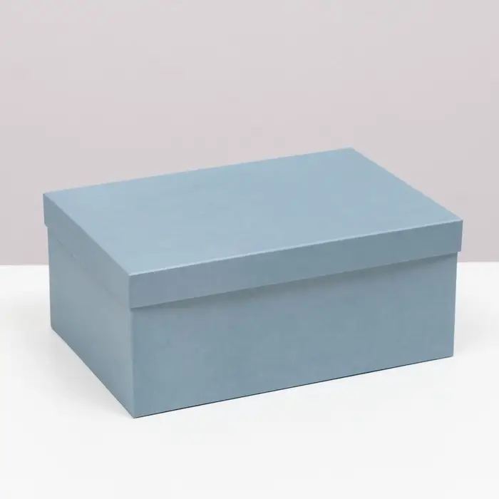 Набор подарочных коробок 10 в 1 &laquo;Барракуда&raquo;, 30.5&times;20&times;13 - 12&times;6.5&times;4 см