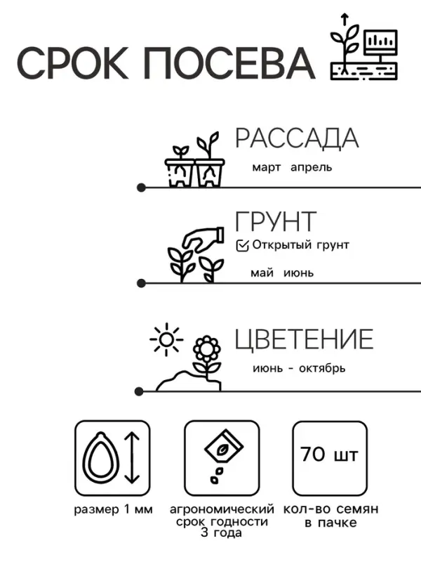 Семена Ромашка  Семена Ромашка "Гигантелла",  70 шт