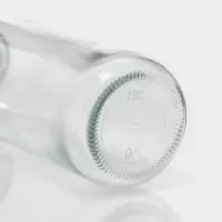 Бутылка для воды &laquo;Гусь&raquo;, 300 мл, 6&times;17 мл, в чехле, стекло, голубая, прозрачная