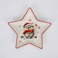 Блюдо сервировочное новогоднее Доляна &laquo;Зимний друг&raquo;, 24.5&times;23.5&times;3.5 см, доломит, белая, красная