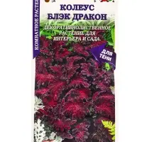 Семена Ком: Колеус Блэк Дракон /Сотка/ 10шт/ бордо. h-35см PanAm/*500 Семена Ком: Колеус Блэк Дракон /Сотка/ 10шт/ бордо. h-35см PanAm/*500