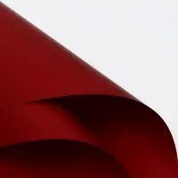 Пленка флористическая, «Любовь в воздухе» 65 мкм, винный 58×58 см