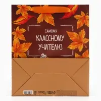 Пакет подарочный ламинированный &laquo;Учитель года&raquo;, ML 27&times;23&times;11.5 см