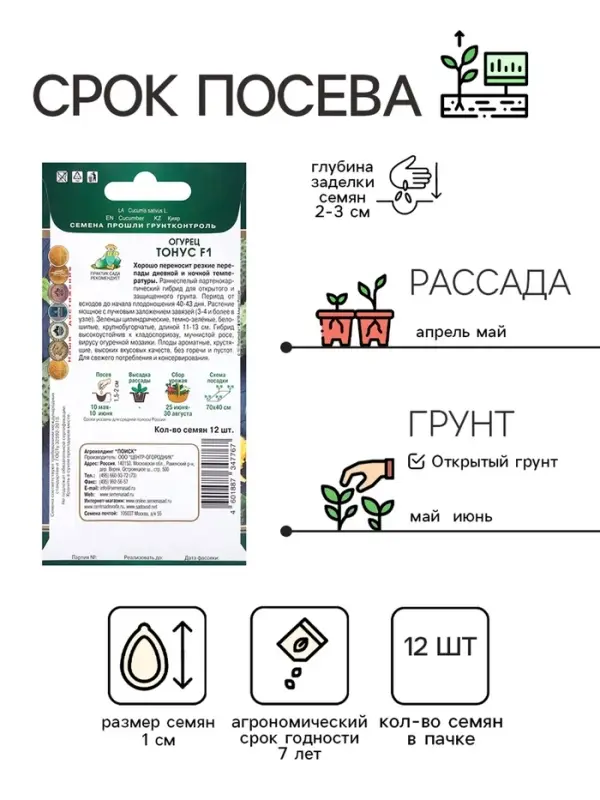 Семена Огурец Тонус, F1, 12шт
