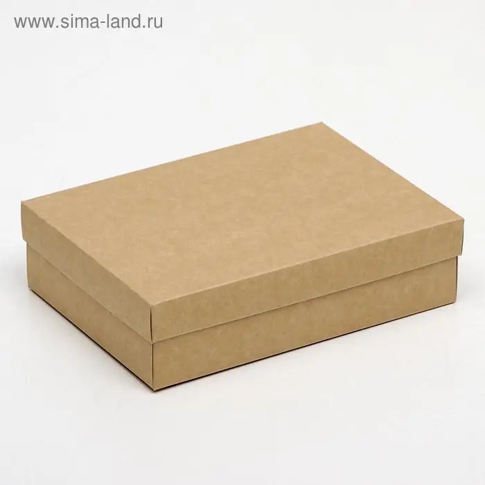 Коробка картонная без окна, крафт, 21 х 15 х 5 см Коробка картонная без окна, крафт, 21 х 15 х 5 см