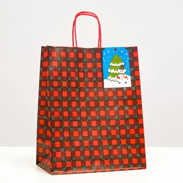 Пакет бумажный подарочный новогодний крафт «Красная клеточка» 22×12×27 см Пакет бумажный подарочный новогодний крафт «Красная клеточка» 22×12×27 см