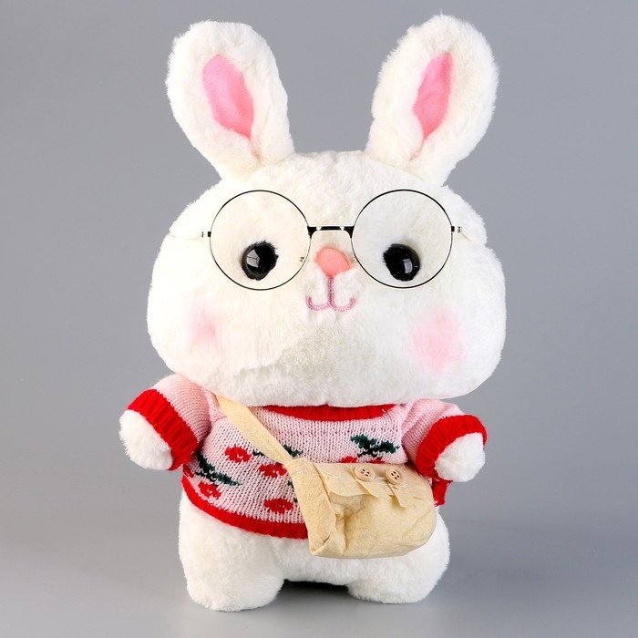 Мягкая игрушка «Зайка», в кофточке с сумочкой, 25 см, цвет МИКС Мягкая игрушка «Зайка», в кофточке с сумочкой, 25 см, цвет МИКС