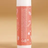 Бальзам для губ &laquo;Зимняя сладость&raquo;, 10 г, аромат ванильного пряника, URAL LAB