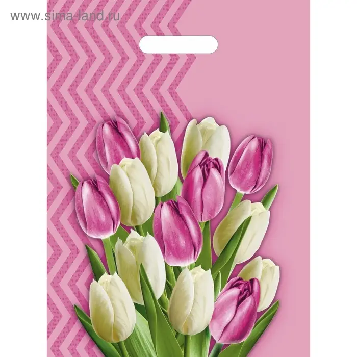 Пакет «Диана» полиэтиленовый с вырубной ручкой, МИКС, 50 мкм, 30×40 см Пакет «Диана» полиэтиленовый с вырубной ручкой, МИКС, 50 мкм, 30×40 см