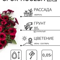 Семена цветов Петуния ампельная &laquo;Шок Вейв Дип Парпл&raquo;, F1, 5 шт., &laquo;ПОИСК&raquo;
