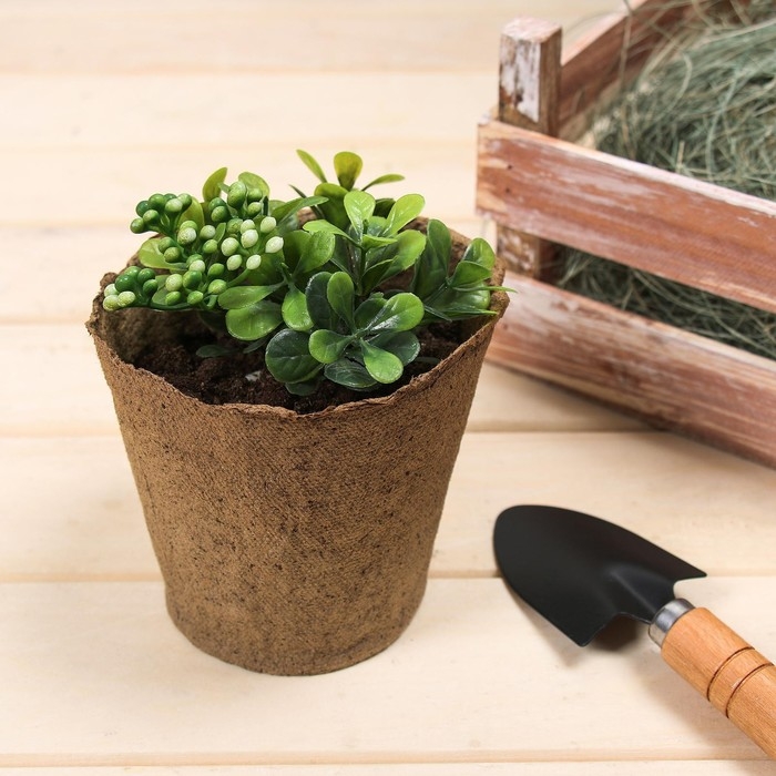 Горшок для рассады, 500 мл, d = 11 см, h = 10 см, торф, набор 20 шт., Greengo Горшок для рассады, 500 мл, d = 11 см, h = 10 см, торф, набор 20 шт., Greengo