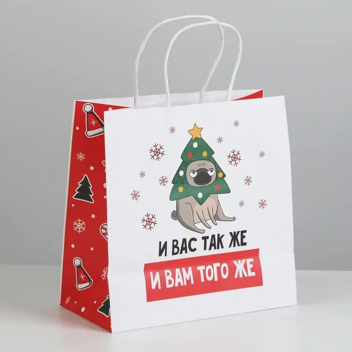 Пакет подарочный новогодний &laquo;А вас также&raquo;, 22&times;22&times;11 см