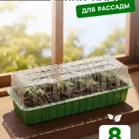 Мини-парник для рассады, 40&times;16&times;13 см, 2 вставки, 8 ячеек, зелёный, Greengo