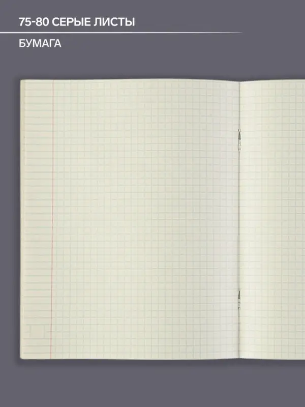 Тетрадь предметная 48 листов в клетку Calligrata, &laquo;Чёрное-белое. Английский язык&raquo;, обложка мелованная, серые листы