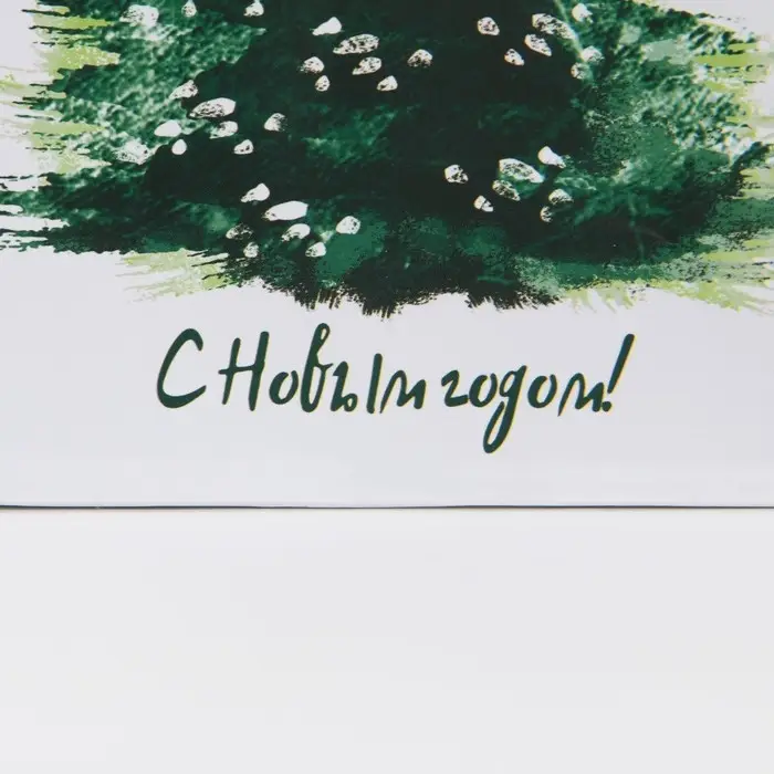 Пакет подарочный новогодний ламинированный &laquo;Морозная свежесть&raquo;, 12 х 15 х 5.5 см