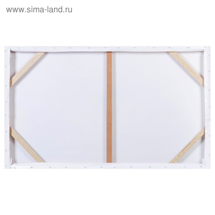 Картина-холст на подрамнике Картина-холст на подрамнике "Черно-белая" 60х100 см