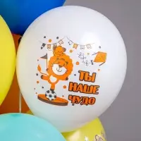 Воздушные шары латексные 12" «СДР! Веселые животные», 25 шт., МИКС