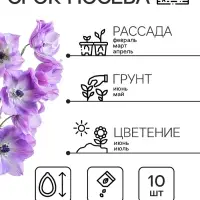Семена цветов Дельфиниум  "Экскалибур роуз виз би", F1, 10 шт.