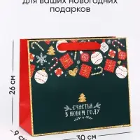 Пакеты подарочные новогодние &laquo;Счастья в Новом году&raquo;, набор 3 шт.