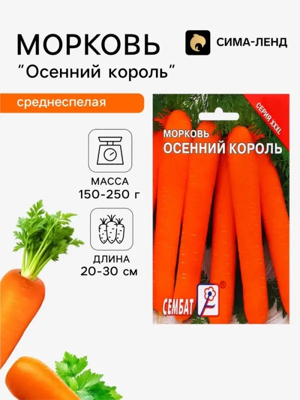 Семена ХХХL Морковь &laquo;Осенний король&raquo;, 10 г, &laquo;Сембат&raquo;