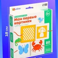 Развивающий набор &laquo;Мои первые картинки&raquo;, 80 карточек, 0+