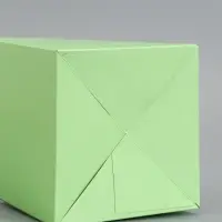 Пакет-переноска для цветов, с зелёным картонным основанием, 14&times;14&times;11.5&times;79&plusmn;5% см