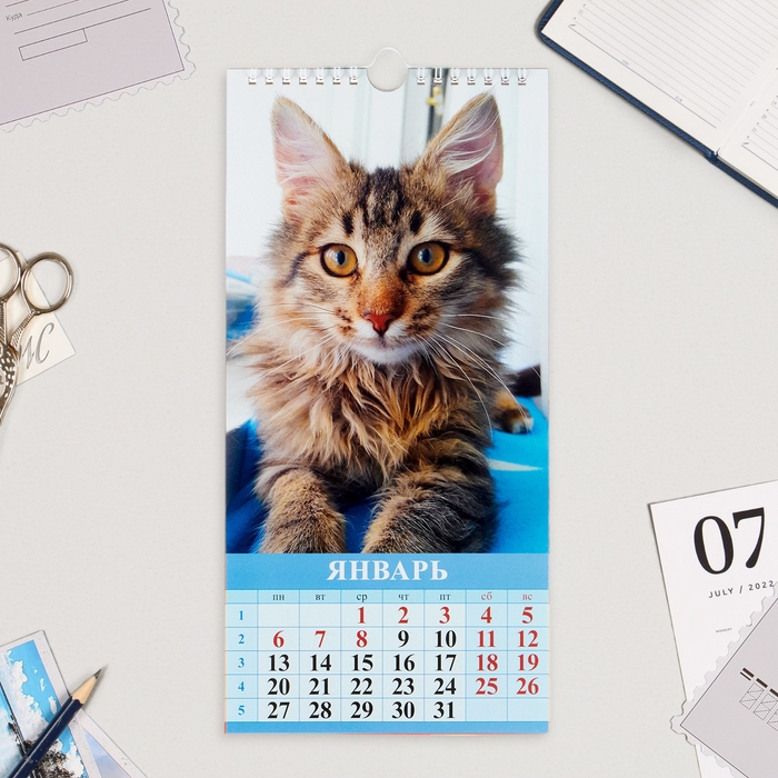 Календарь на ригеле Календарь на ригеле "Котята" 2025 год, 16,5 х 34 см