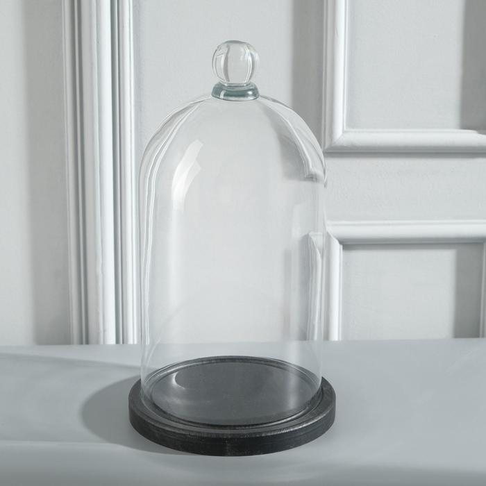 Стеклянный купол-клош с шариком на подставке Стеклянный купол-клош с шариком на подставке "Родрик", 29х15 см, стекло, черный