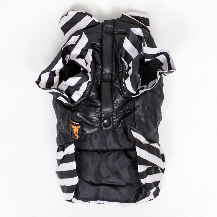 Курточка для собак с воланами,размер 6 (ДС 43,ОШ 44, ОГ 60 см), чёрная Курточка для собак с воланами,размер 6 (ДС 43,ОШ 44, ОГ 60 см), чёрная