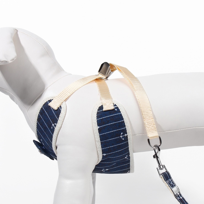 Комплект с мягкой шлейкой  Комплект с мягкой шлейкой "Якорь", размер M, поводок, 120 х 1,5 см, ОГ 34-66 см, синий