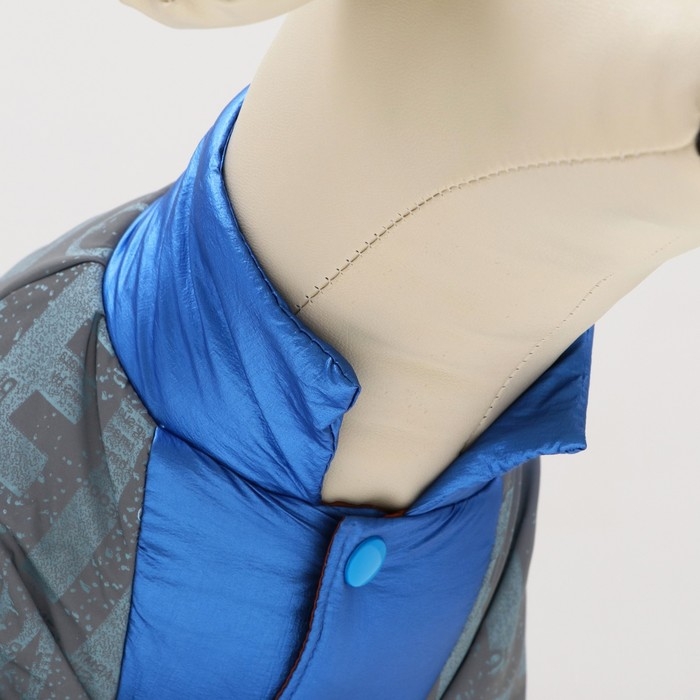 Комбинезон Комбинезон "Ультра", размер 12 (ДС 28 см, ОГ 38 см, ОШ 27 см), синий