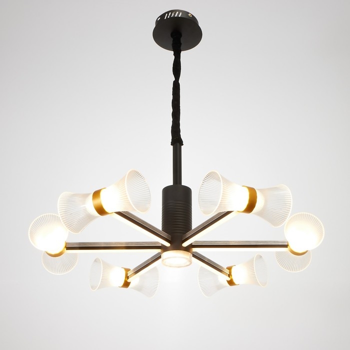 Люстра 1699/6 LED 100Вт 3000-6000К черный 73х73х60 см BayerLux