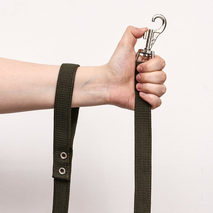 Поводок брезентовый, 2,7 м х 2,5 см Поводок брезентовый, 2,7 м х 2,5 см