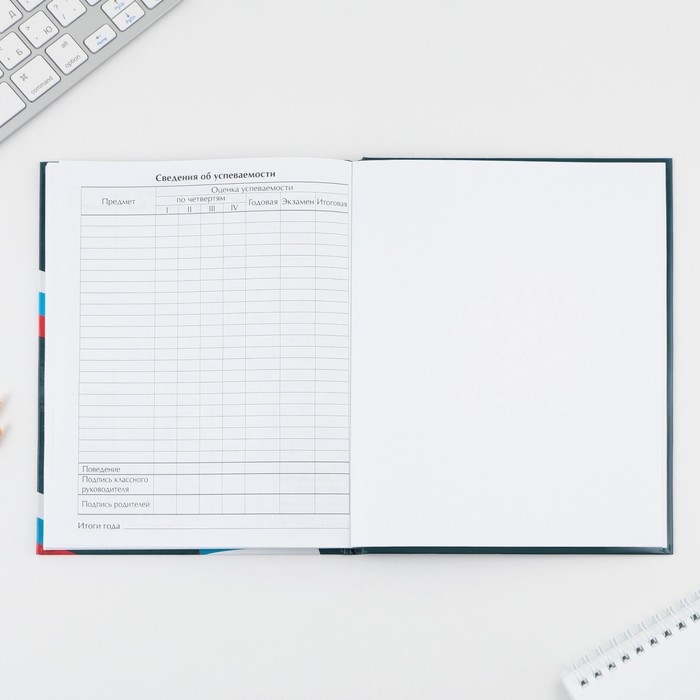 Дневник школьный 1-4 класс &laquo;1 сентября:Россия&raquo;, твердая обложка 7БЦ, глянцевая ламинация, 48 листов