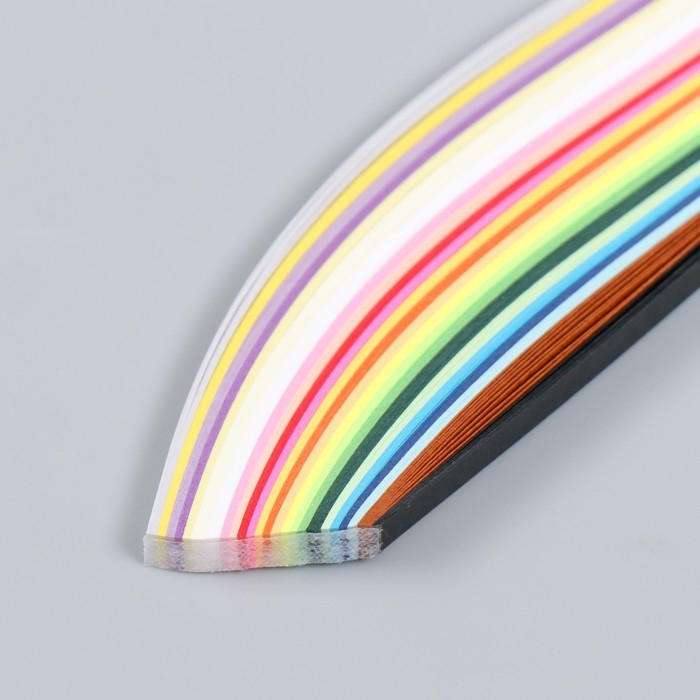 Набор для квиллинга (клей ПВА, инструмент для квиллинга, 240 полосок 0,5 см) МИКС Набор для квиллинга (клей ПВА, инструмент для квиллинга, 240 полосок 0,5 см) МИКС