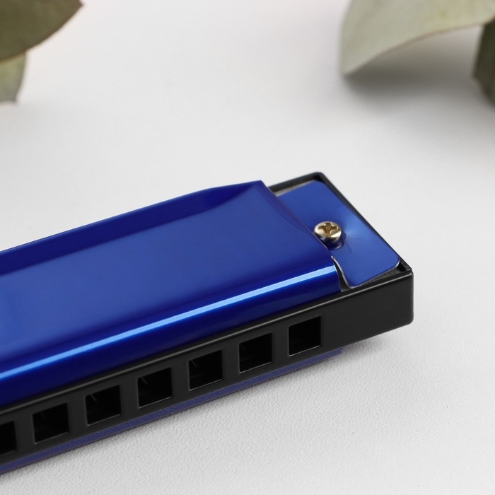 Губная гармошка Bee DF10A Blue, 10 отверстий, 20 язычков Губная гармошка Bee DF10A Blue, 10 отверстий, 20 язычков