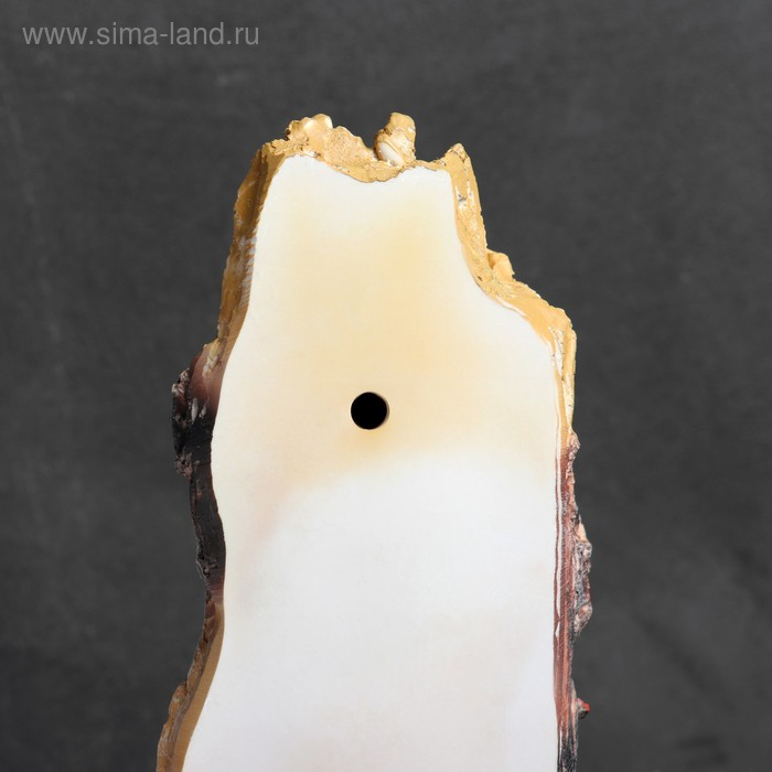 Подвесной декор  Подвесной декор "Птица на суку" 12*12*26 см