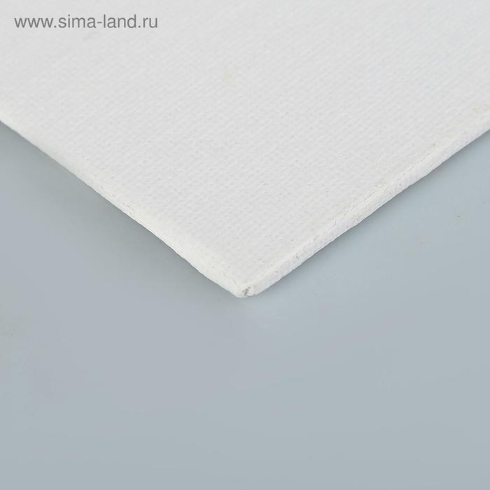 Холст на картоне 25 х 35 см, хлопок 100%, толщина 3 мм, акриловый грунт, мелкозернистый, ЗХК Холст на картоне 25 х 35 см, хлопок 100%, толщина 3 мм, акриловый грунт, мелкозернистый, ЗХК "Сонет", DK13701-25x35