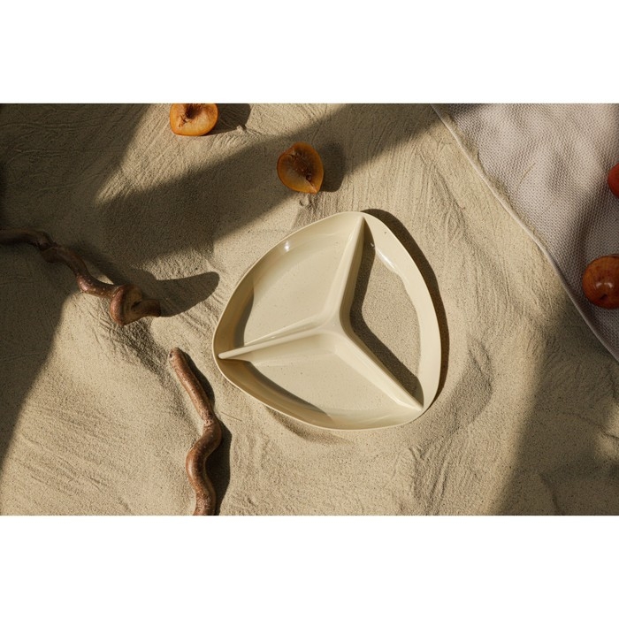 Менажница «Стайл», 24×24×2,5 см, цвет МИКС